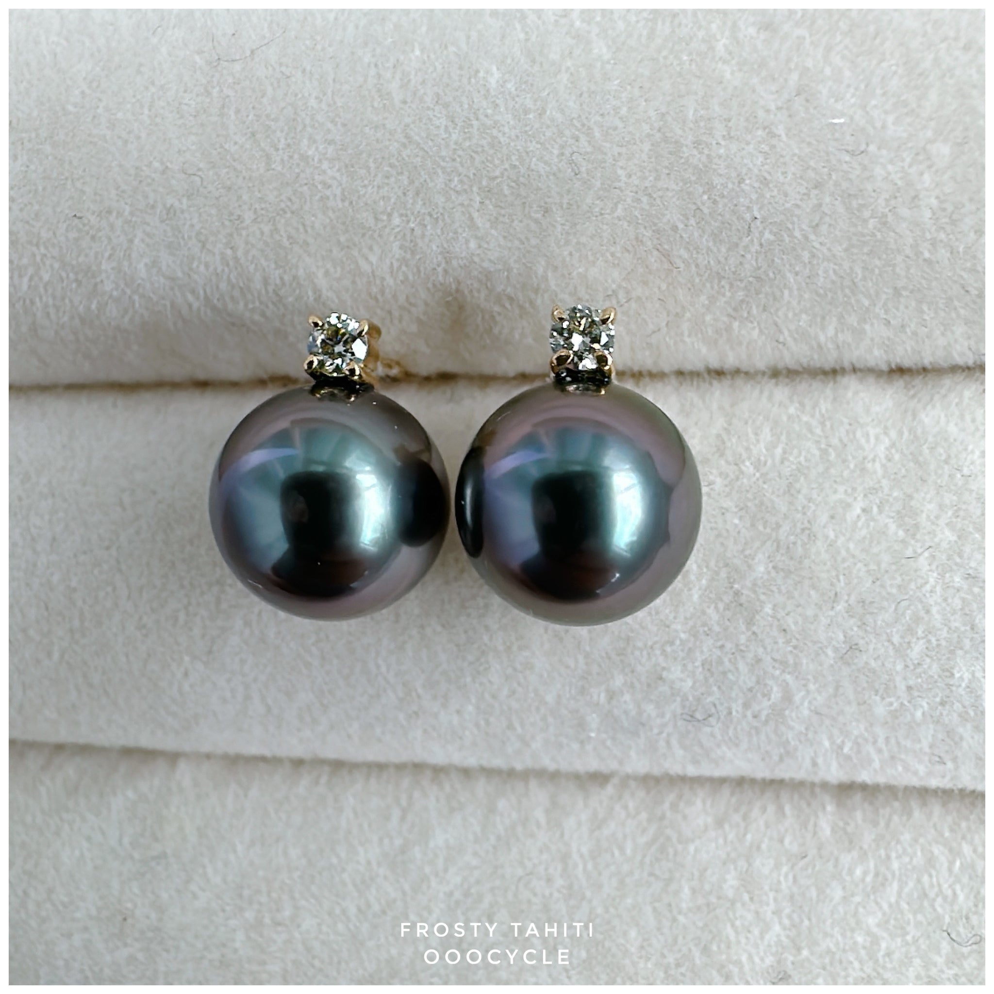 F r o s t y, Tahiti earrings