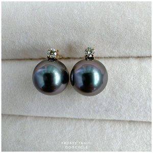 F r o s t y, Tahiti earrings