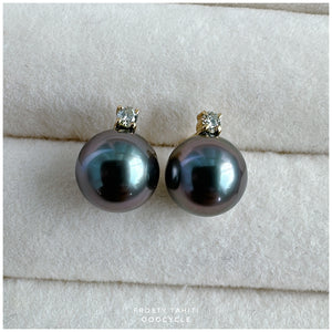 F r o s t y, Tahiti earrings