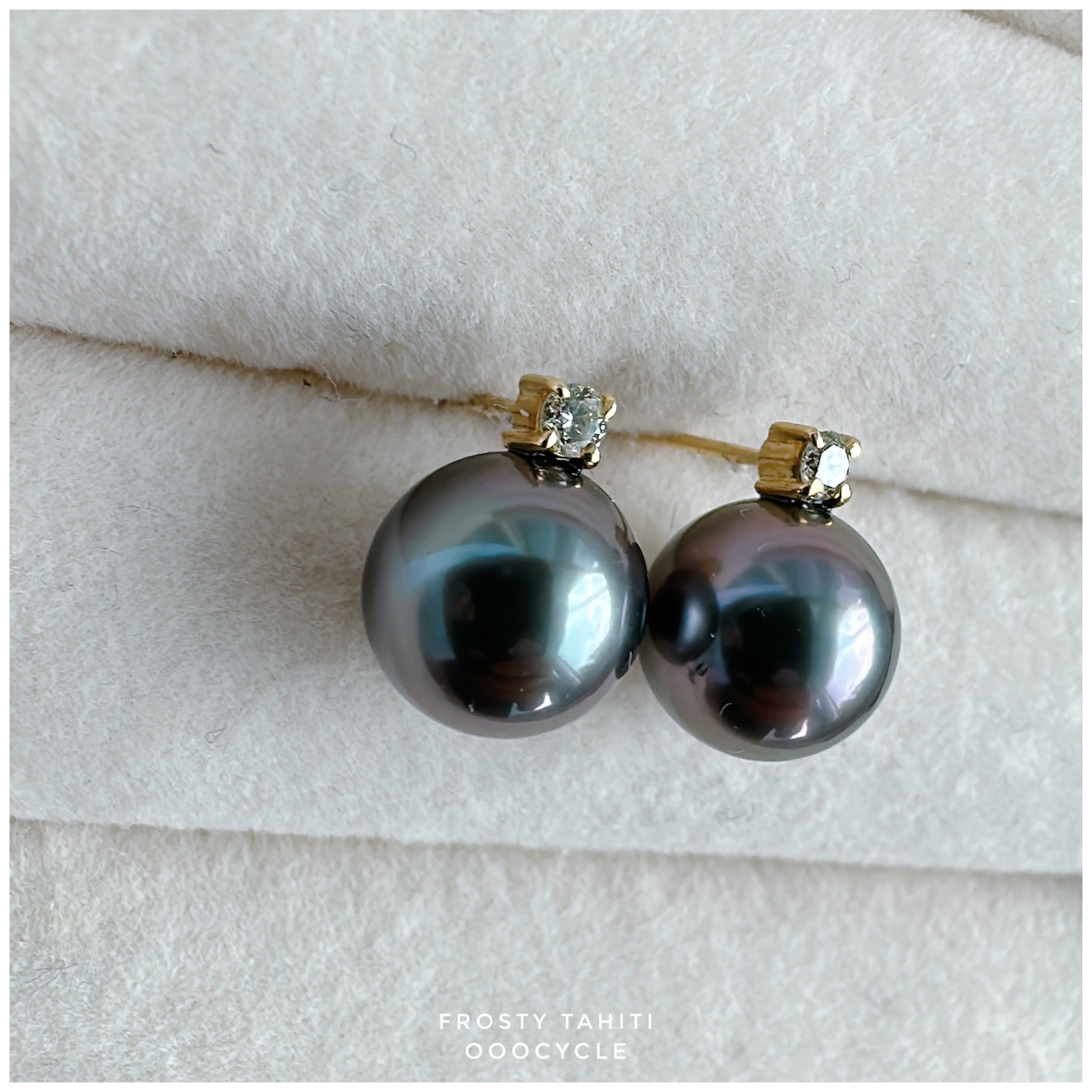 F r o s t y, Tahiti earrings