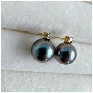 F r o s t y, Tahiti earrings