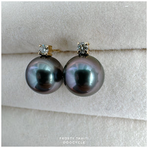F r o s t y, Tahiti earrings