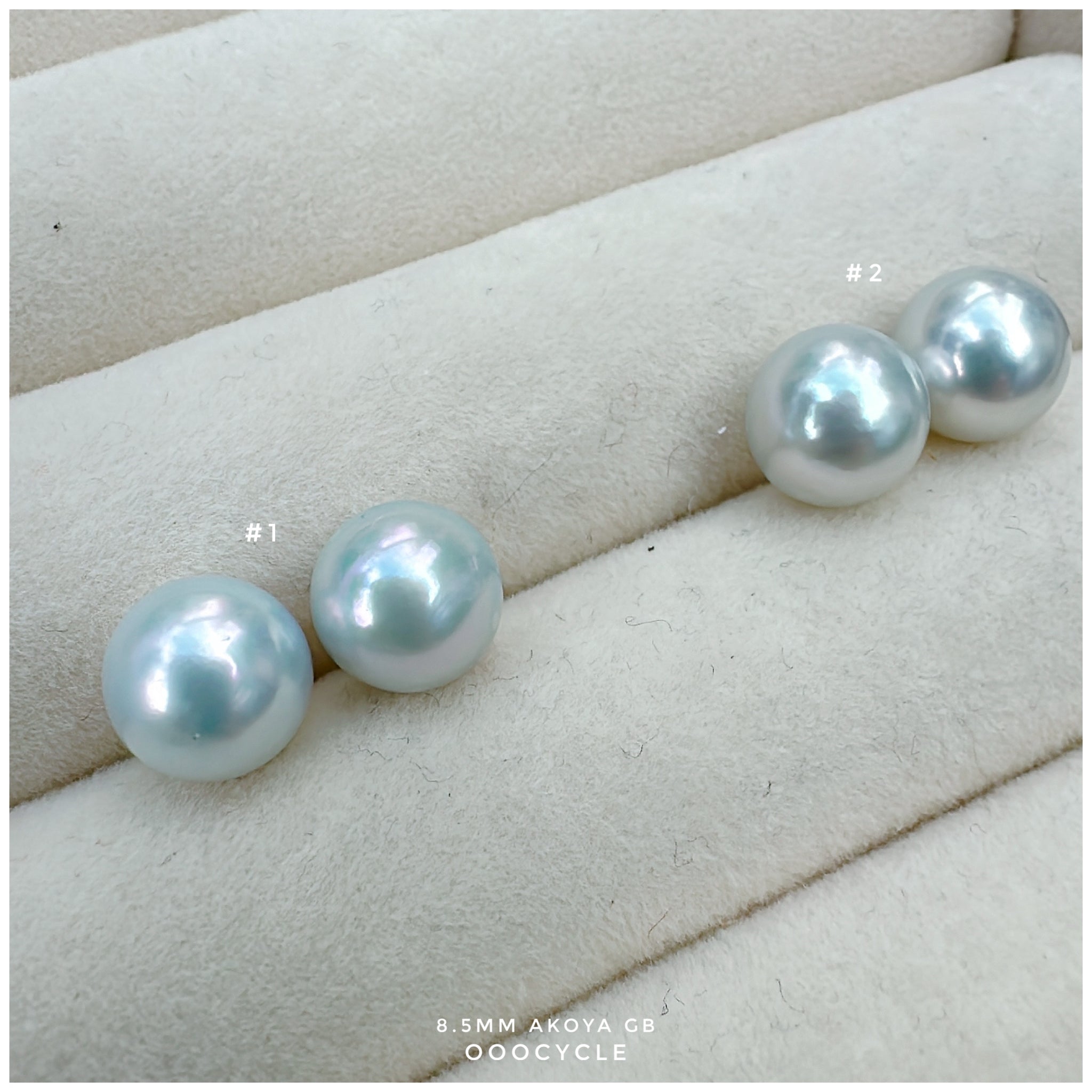 8.5mm Akoya Grey Blue 日本灰藍海水圓珠