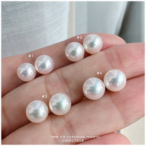 天女證書耳釘 Certified Tennyo Studs 7mm
