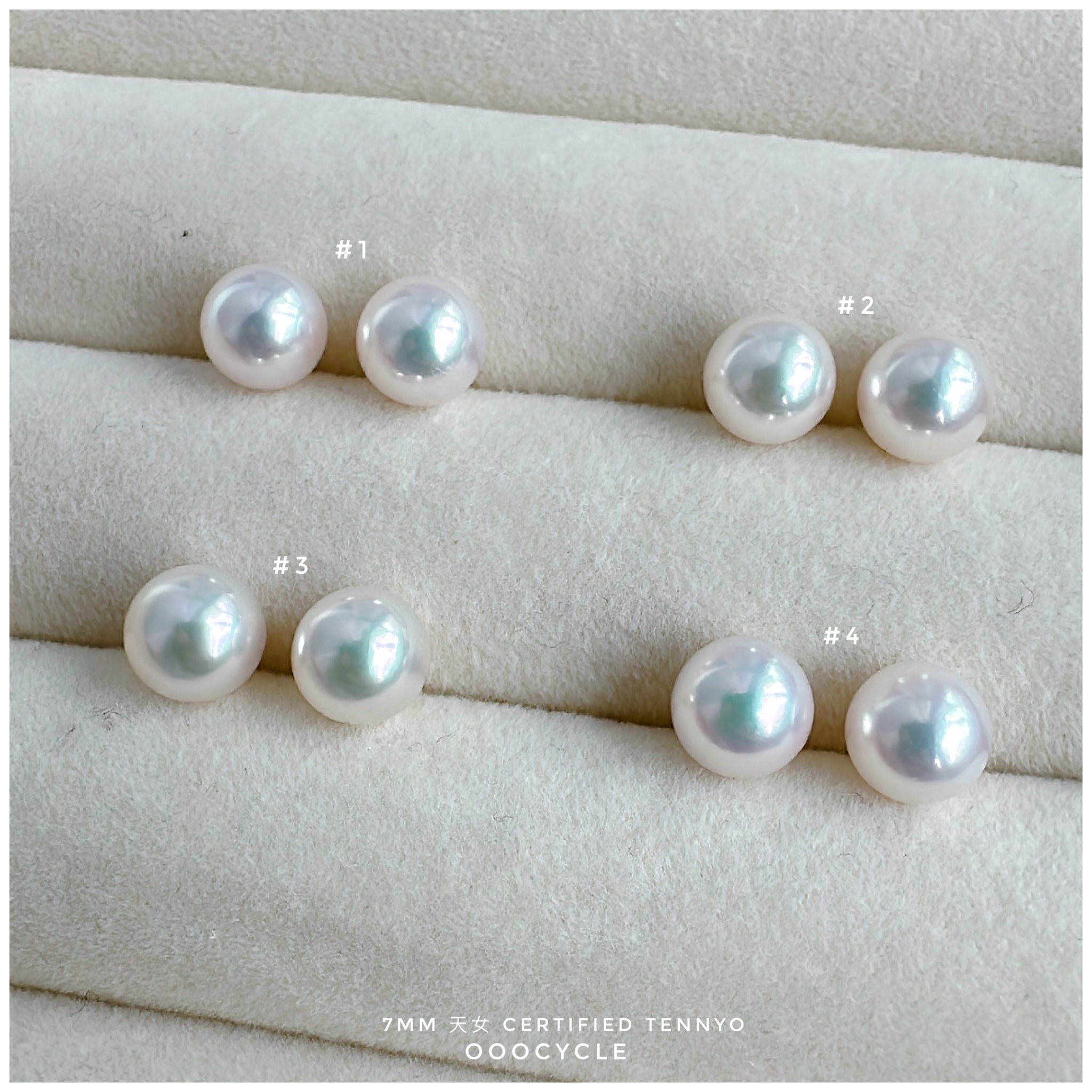天女證書耳釘 Certified Tennyo Studs 7mm