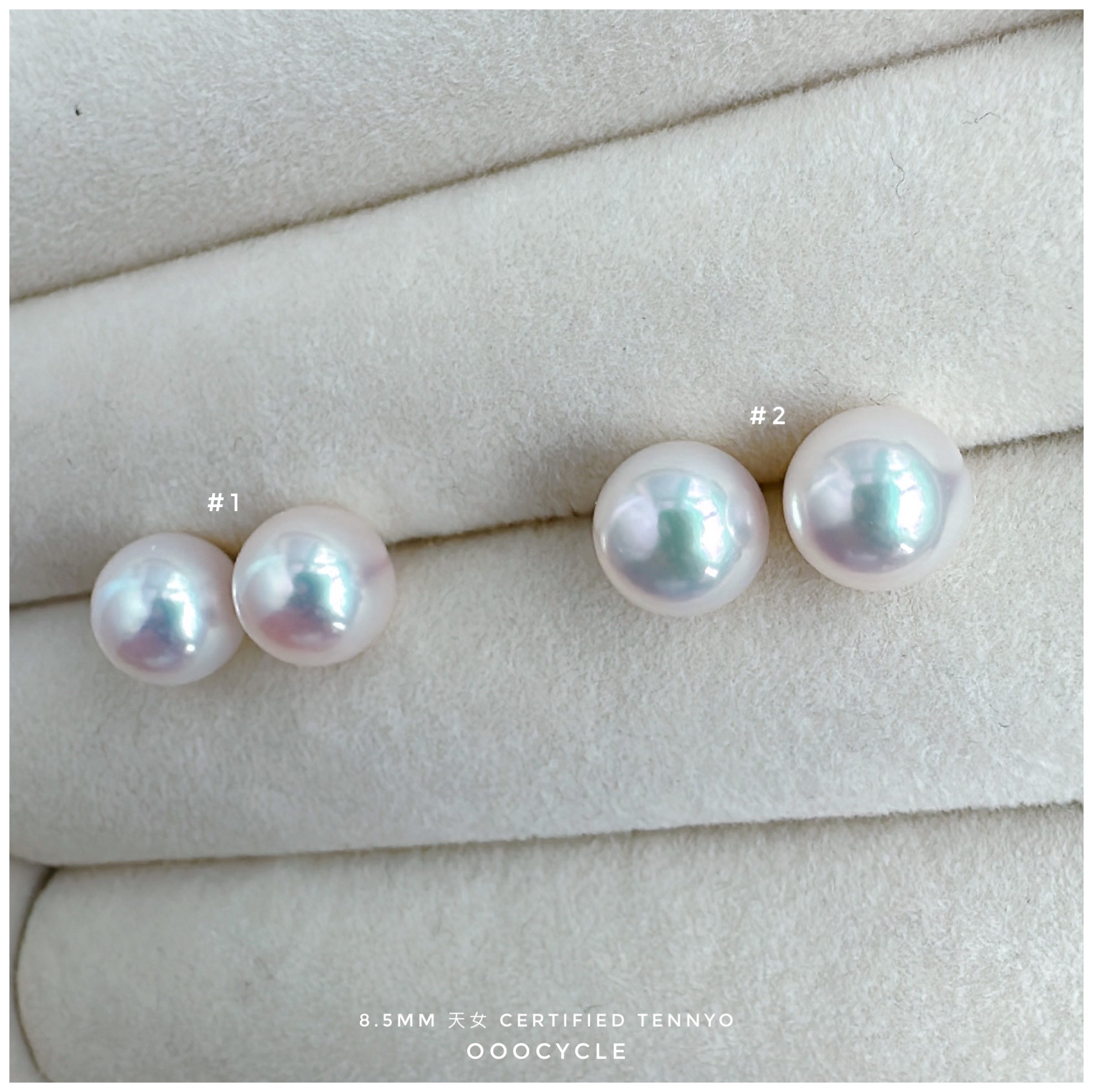 天女證書耳釘 Certified Tennyo Studs 8.5mm