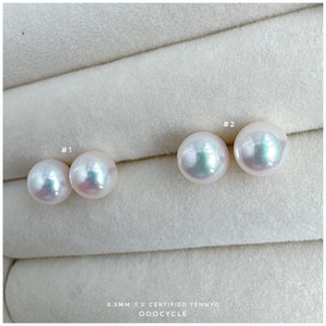 天女證書耳釘 Certified Tennyo Studs 8.5mm