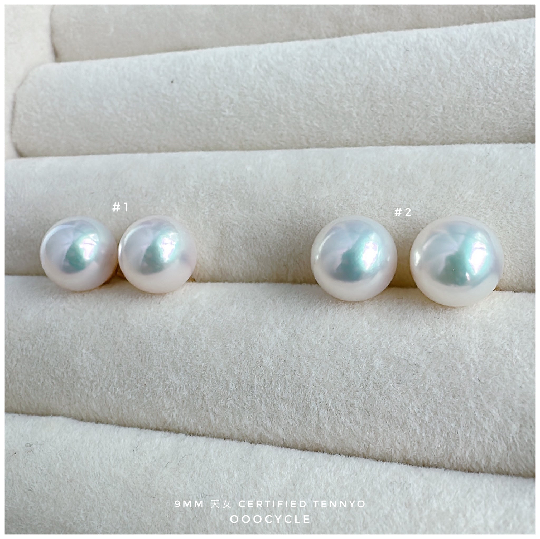天女證書耳釘 Certified Tennyo Studs 9mm