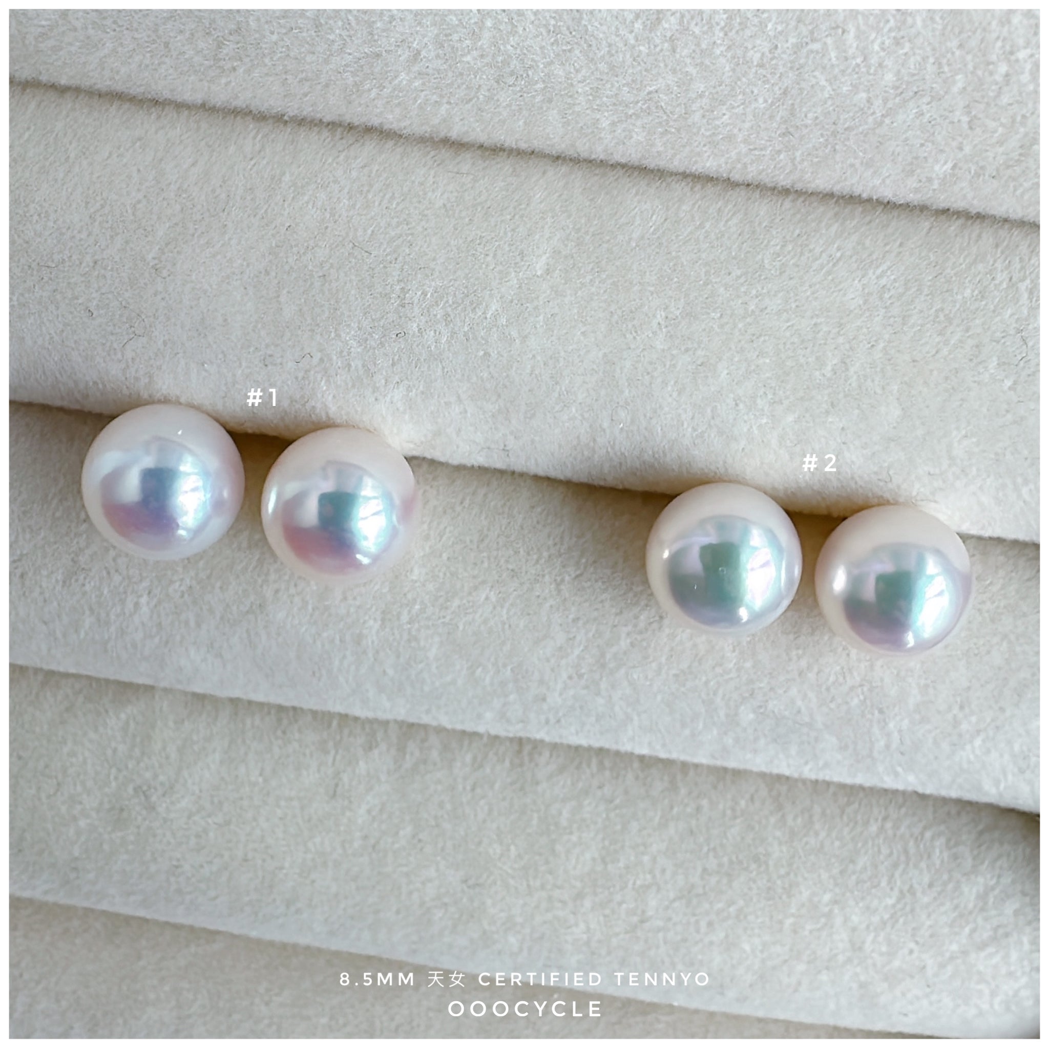 天女證書耳釘 Certified Tennyo Studs 8.5mm