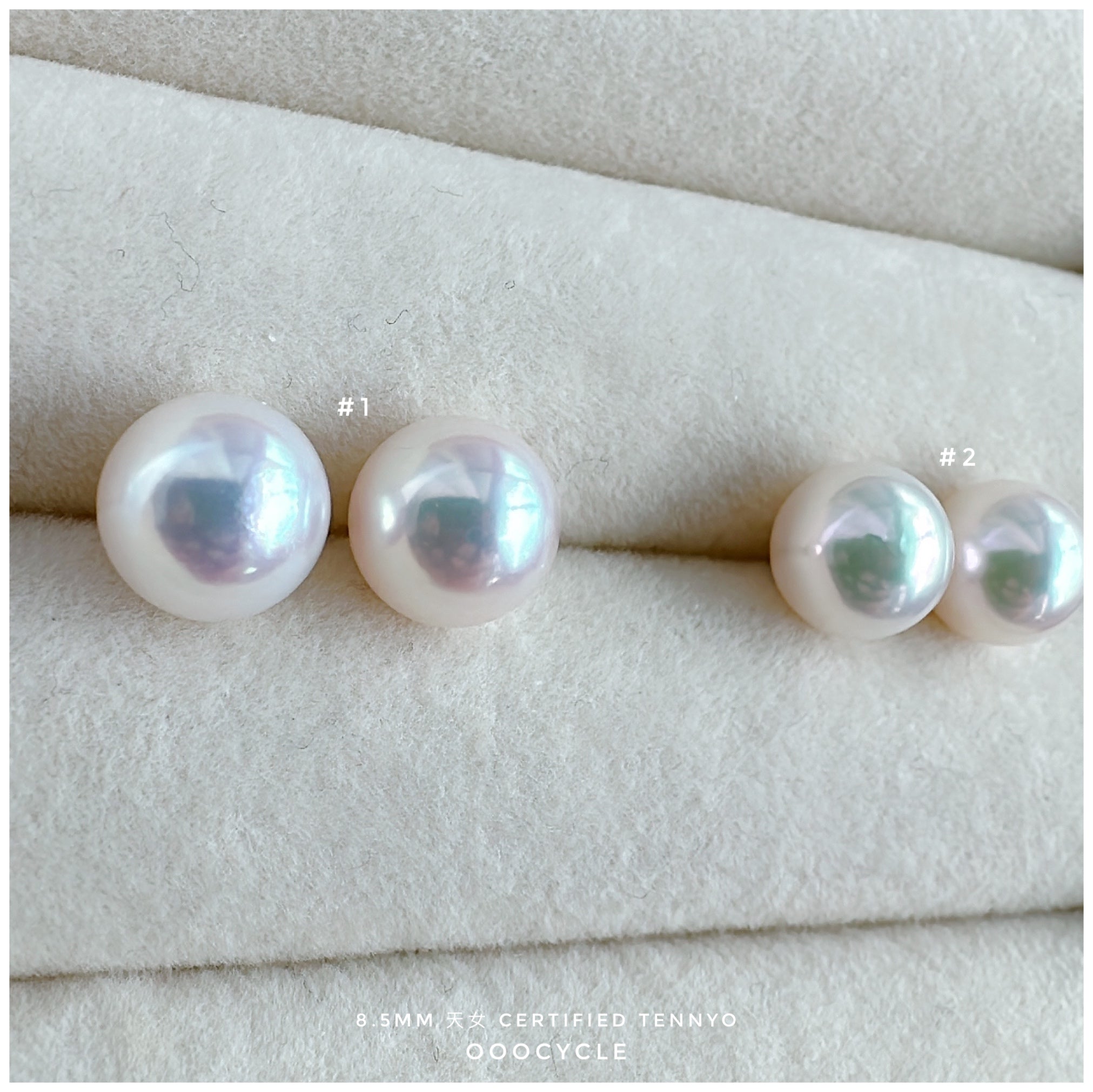 天女證書耳釘 Certified Tennyo Studs 8.5mm