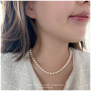 8mm Certified Champagne Rosé 日本香檳金Rosé證書