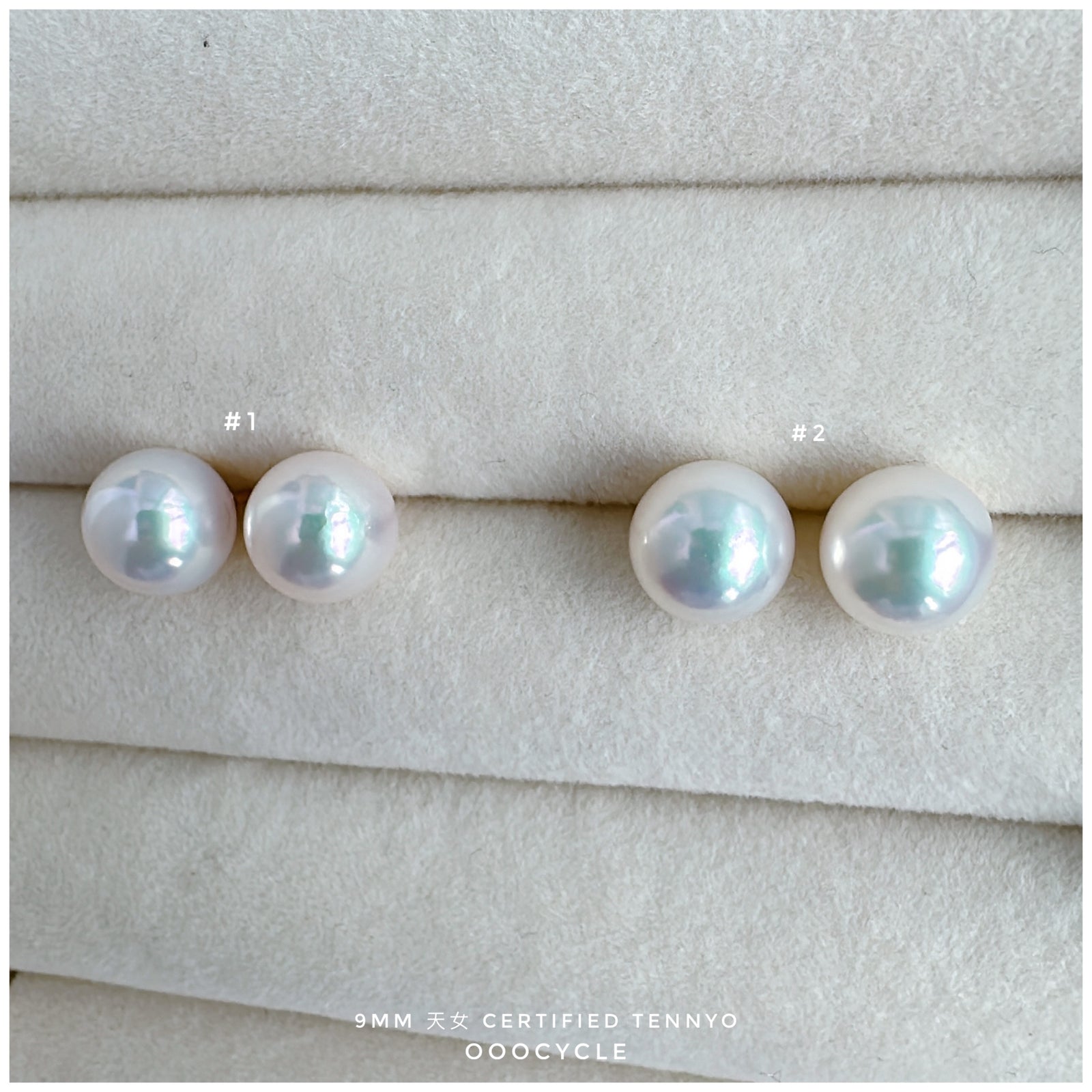 天女證書耳釘 Certified Tennyo Studs 9mm