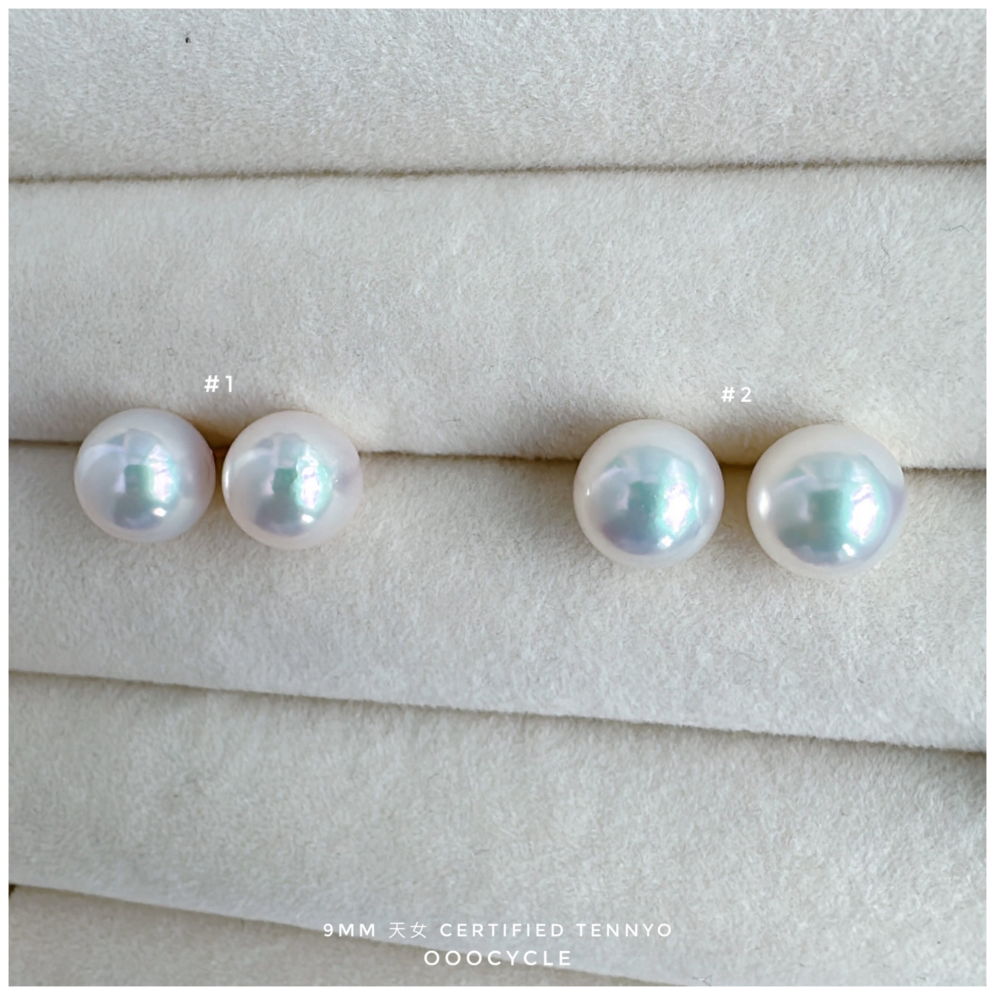 天女證書耳釘 Certified Tennyo Studs 9mm