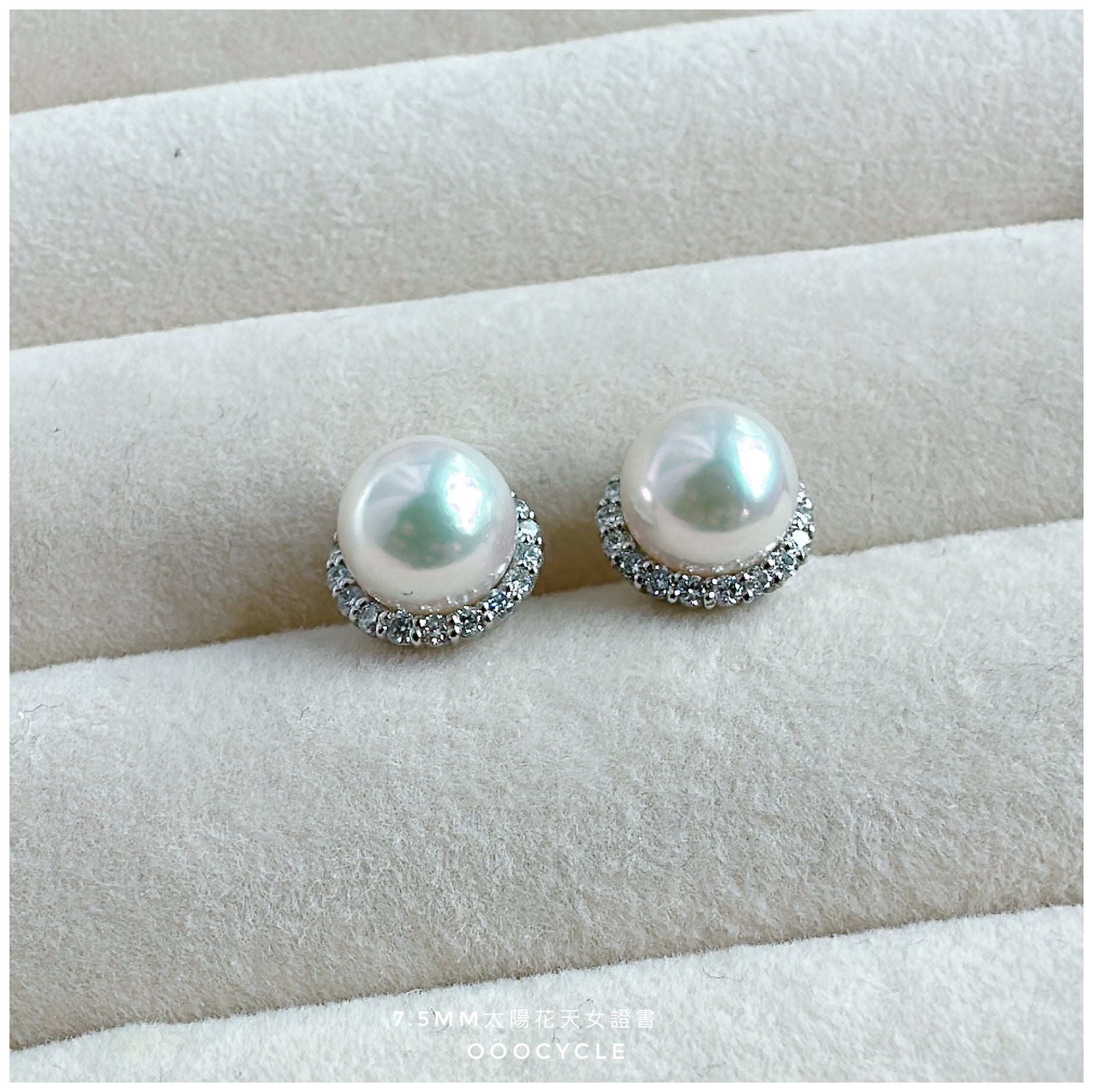 太陽花天女證書耳釘 Sunflower Certified Tennyo Studs