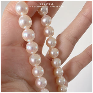 8mm Certified Champagne Rosé 日本香檳金Rosé證書