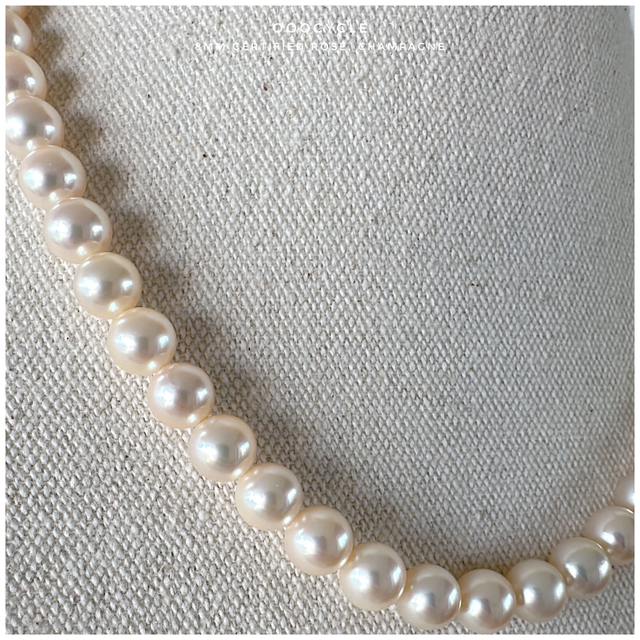 8mm Certified Champagne Rosé 日本香檳金Rosé證書