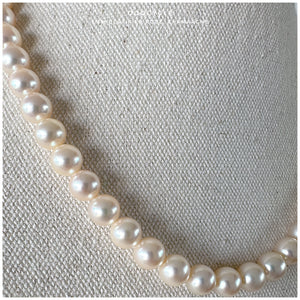 8mm Certified Champagne Rosé 日本香檳金Rosé證書