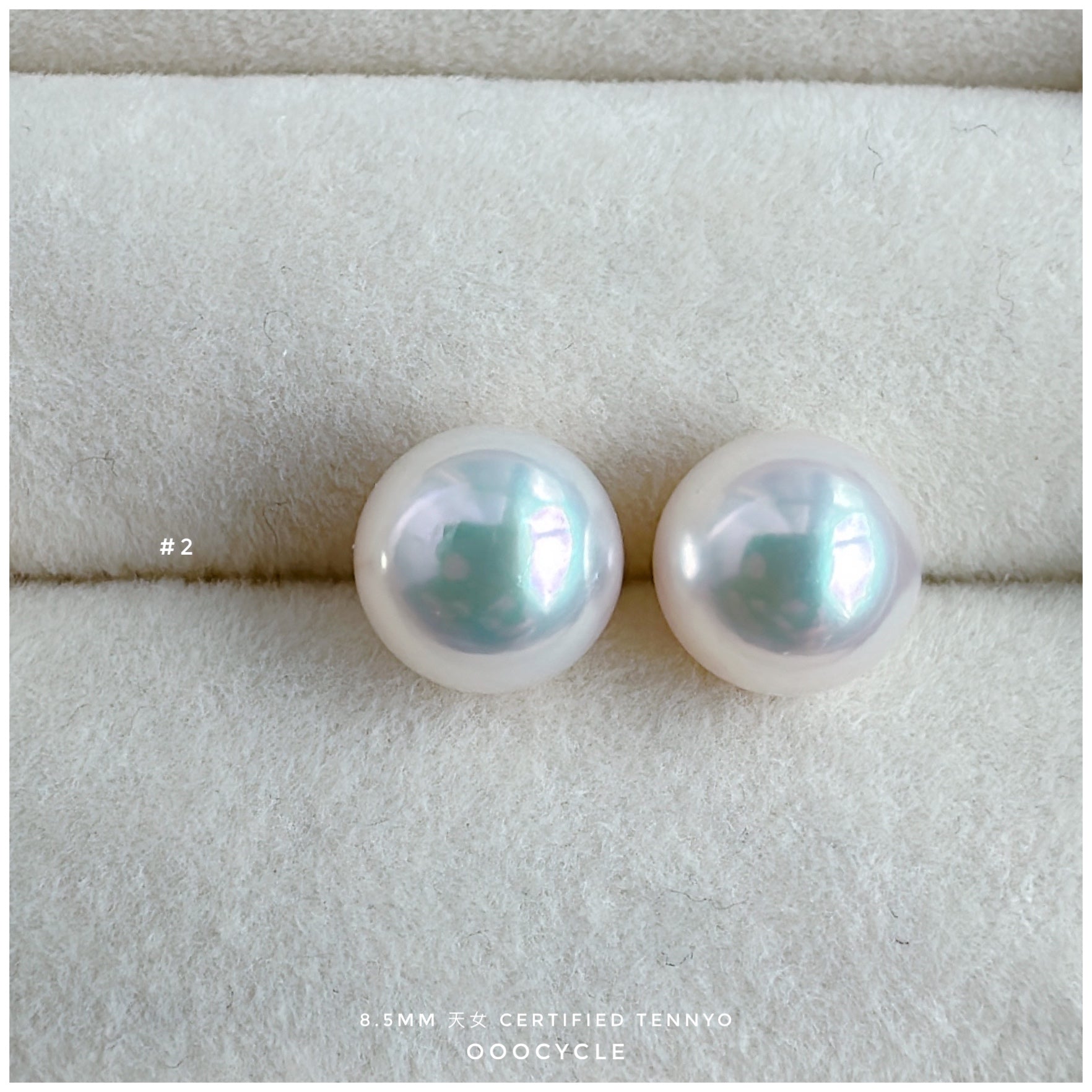 天女證書耳釘 Certified Tennyo Studs 8.5mm