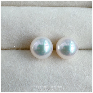 天女證書耳釘 Certified Tennyo Studs 8.5mm