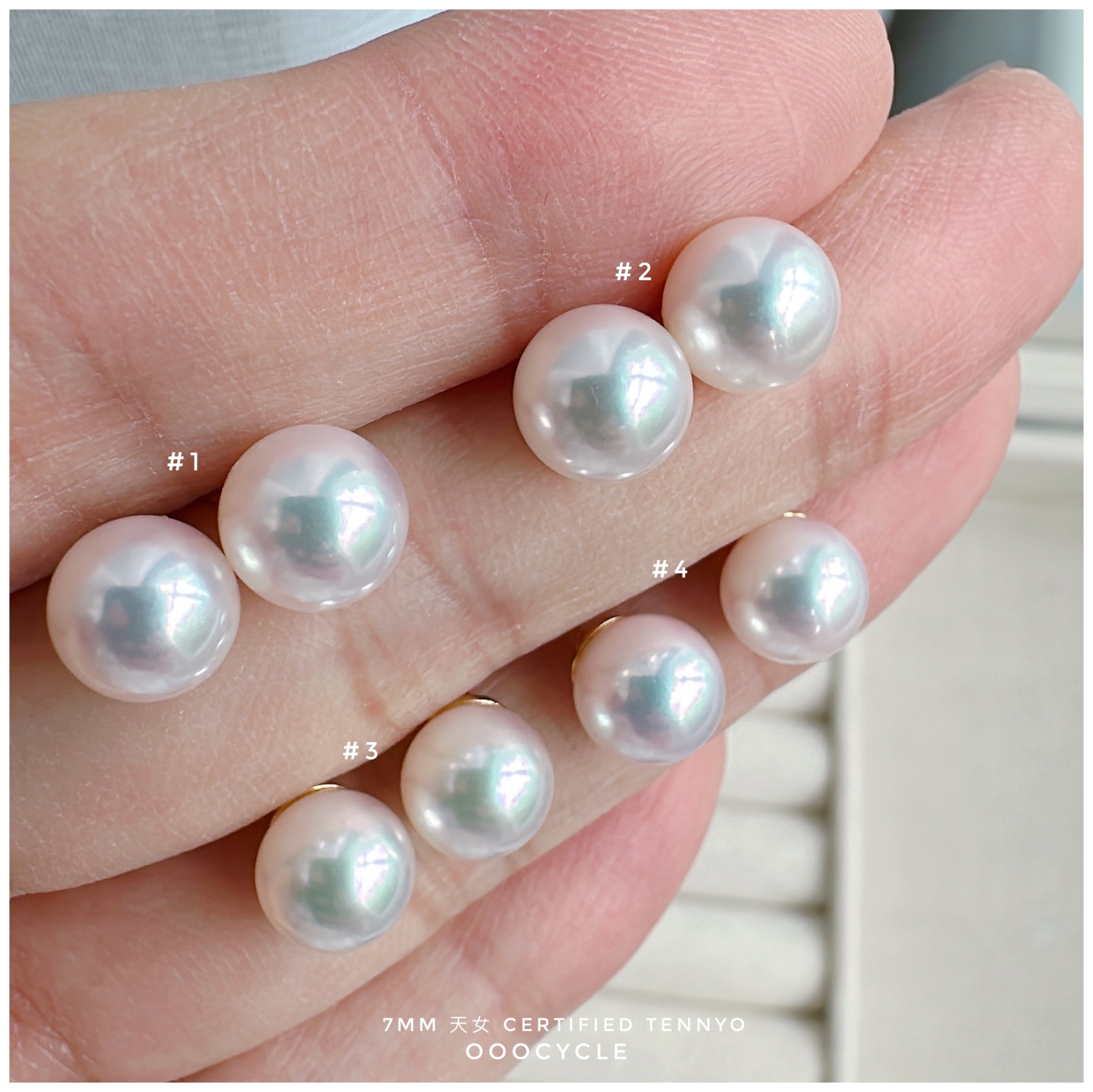 天女證書耳釘 Certified Tennyo Studs 7mm