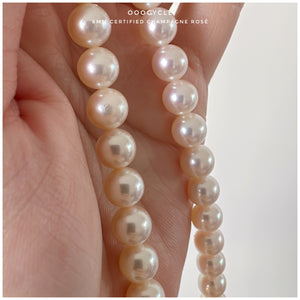8mm Certified Champagne Rosé 日本香檳金Rosé證書
