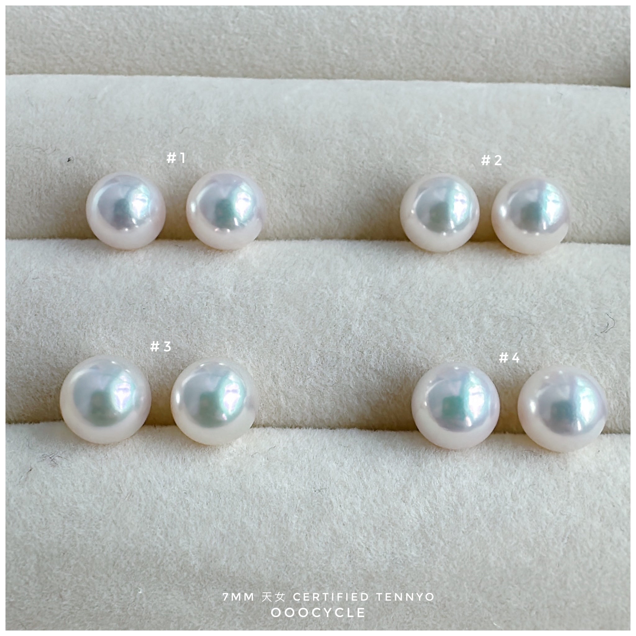 天女證書耳釘 Certified Tennyo Studs 7mm