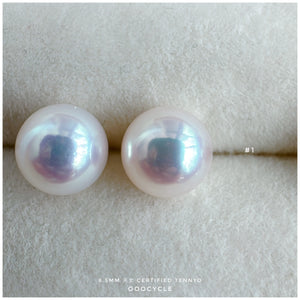 天女證書耳釘 Certified Tennyo Studs 8.5mm