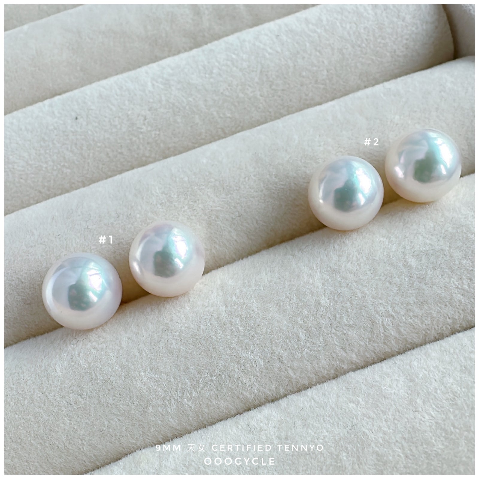 天女證書耳釘 Certified Tennyo Studs 9mm