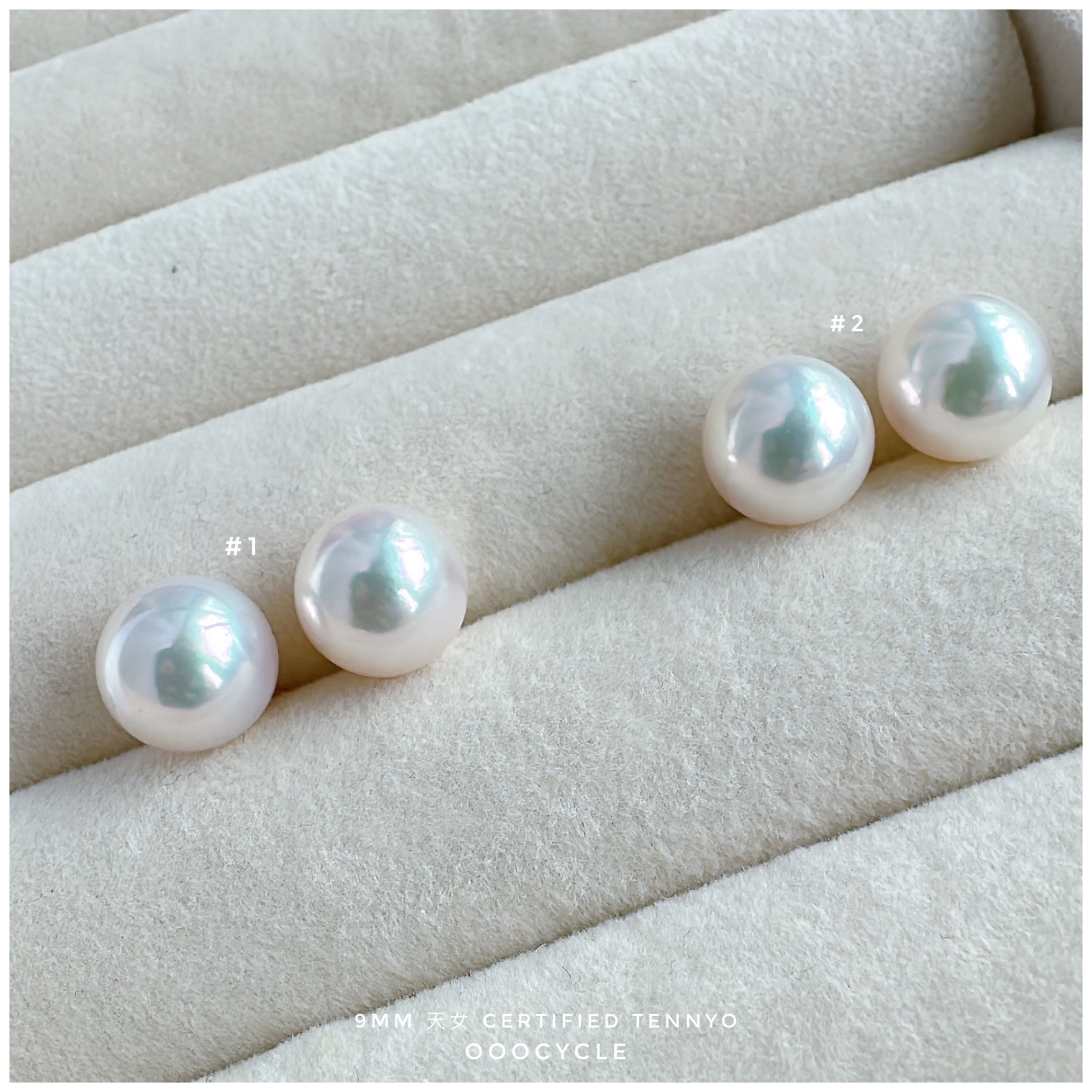 天女證書耳釘 Certified Tennyo Studs 9mm
