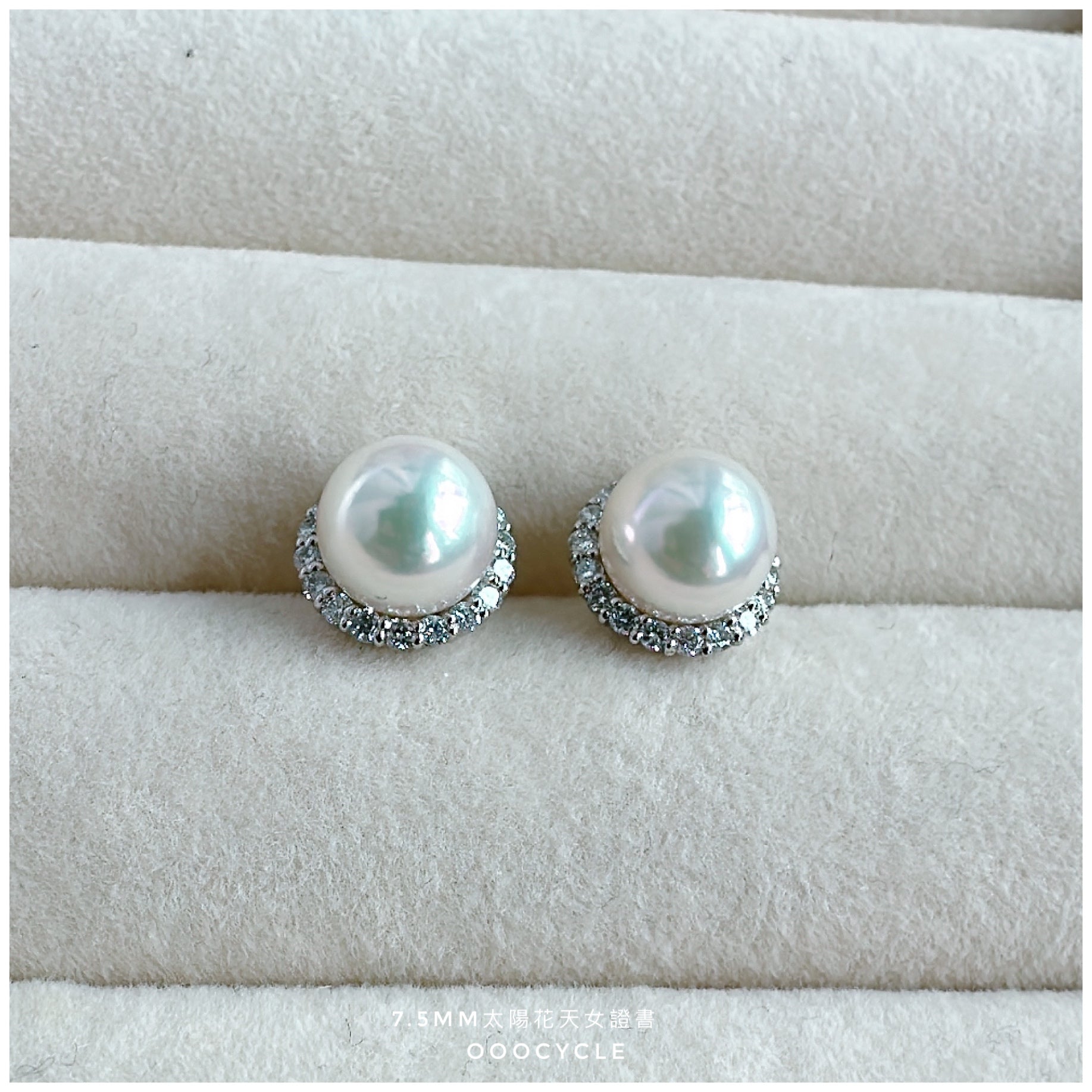 太陽花天女證書耳釘 Sunflower Certified Tennyo Studs