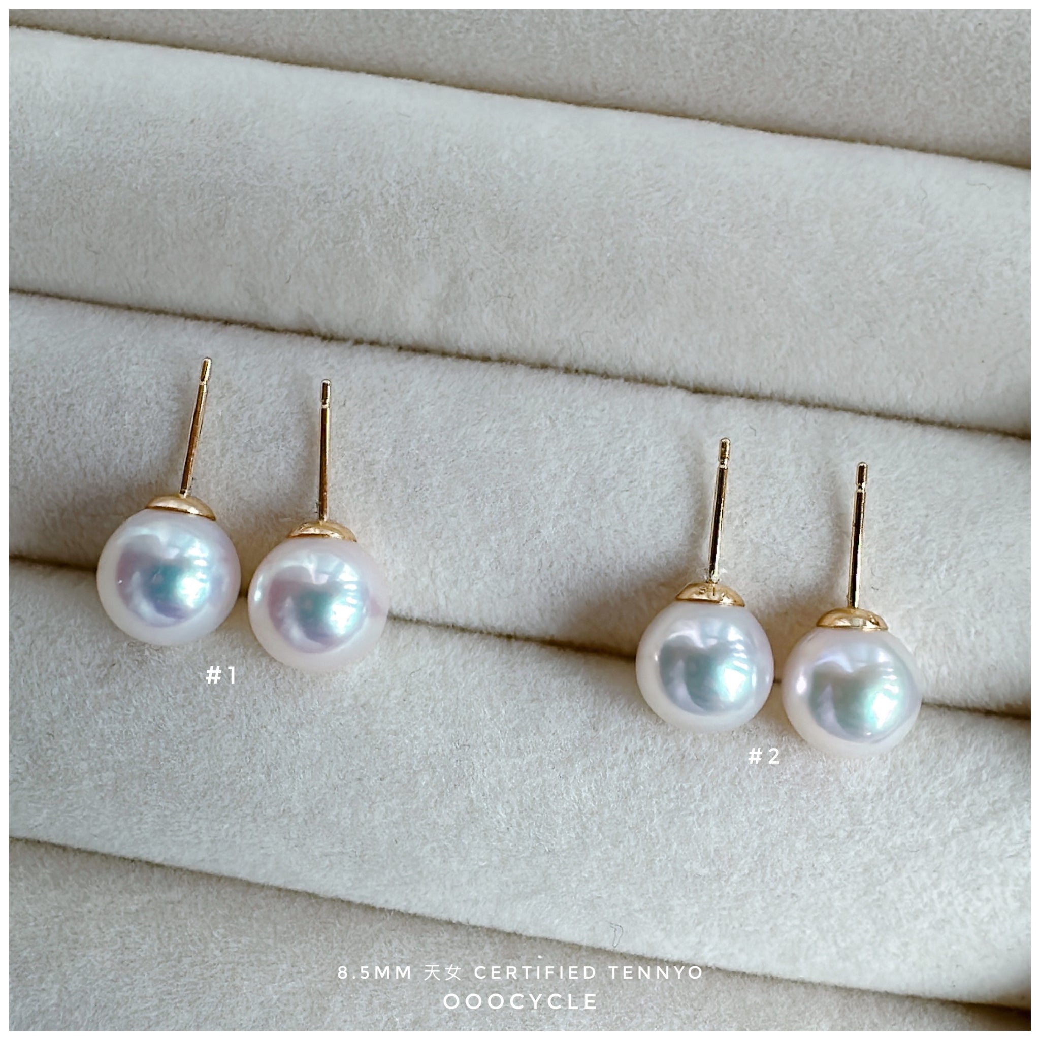 天女證書耳釘 Certified Tennyo Studs 8.5mm