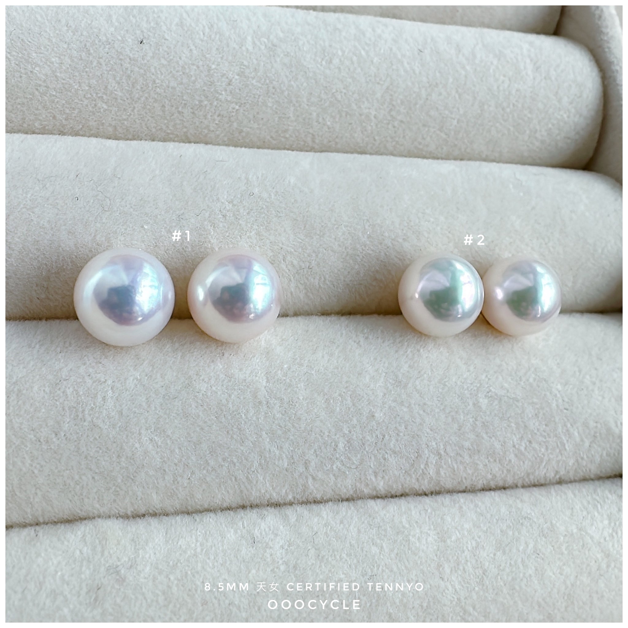 天女證書耳釘 Certified Tennyo Studs 8.5mm