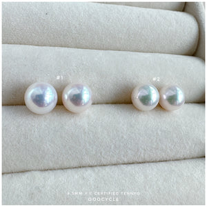 天女證書耳釘 Certified Tennyo Studs 8.5mm