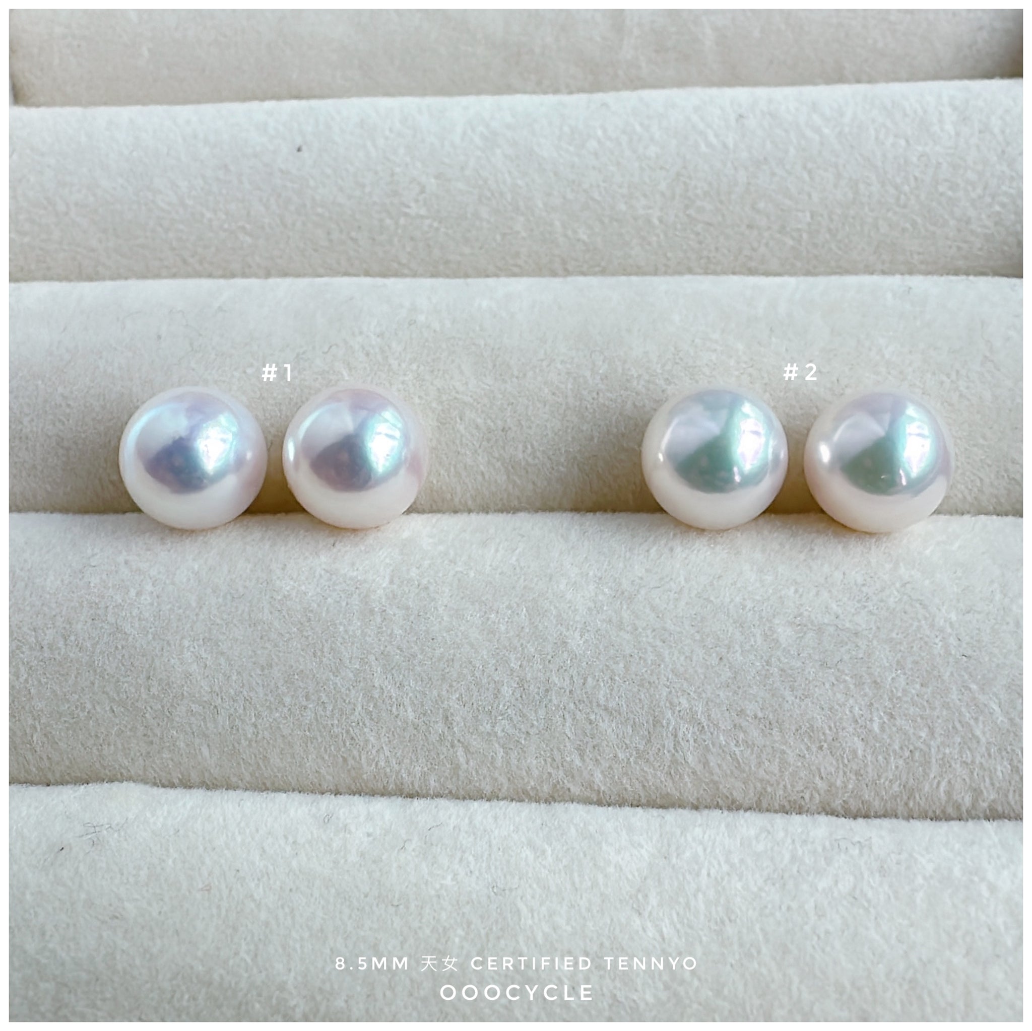 天女證書耳釘 Certified Tennyo Studs 8.5mm