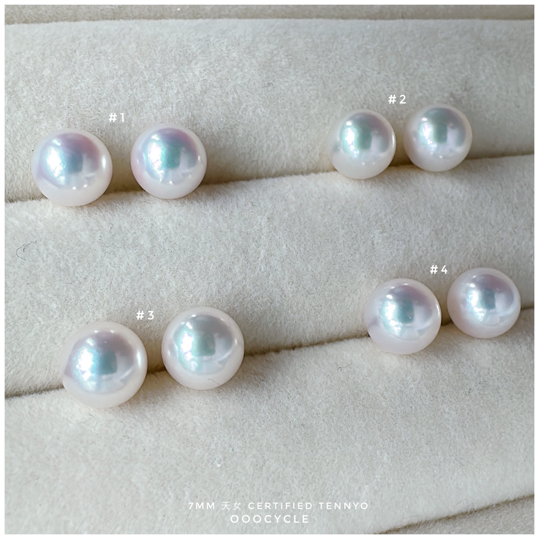 天女證書耳釘 Certified Tennyo Studs 7mm
