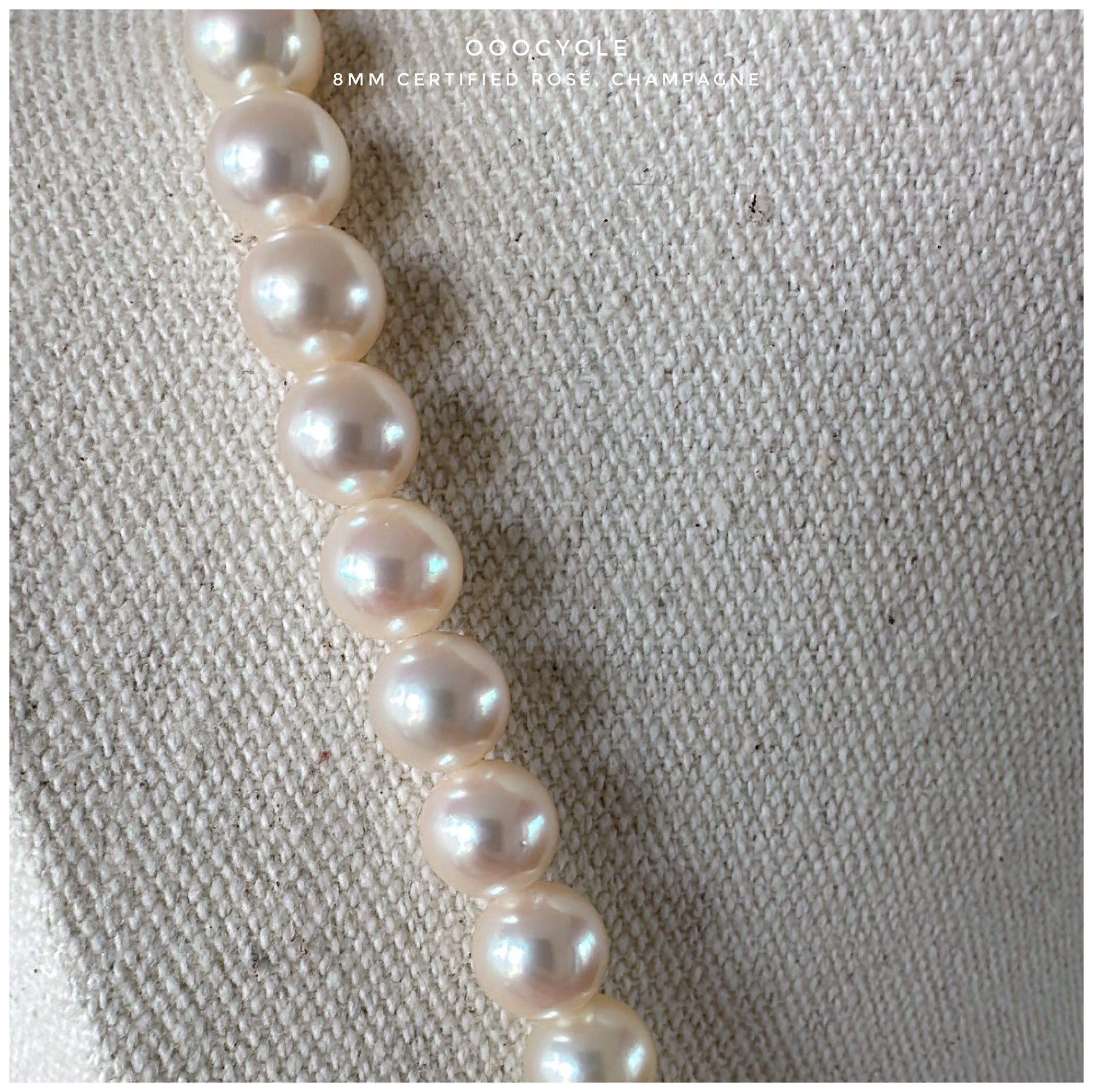 8mm Certified Champagne Rosé 日本香檳金Rosé證書