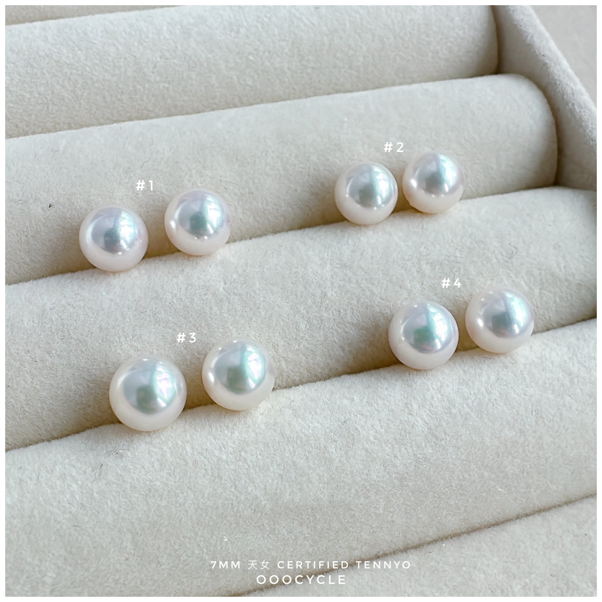 天女證書耳釘 Certified Tennyo Studs 7mm