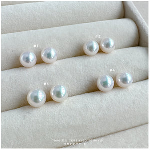 天女證書耳釘 Certified Tennyo Studs 7mm