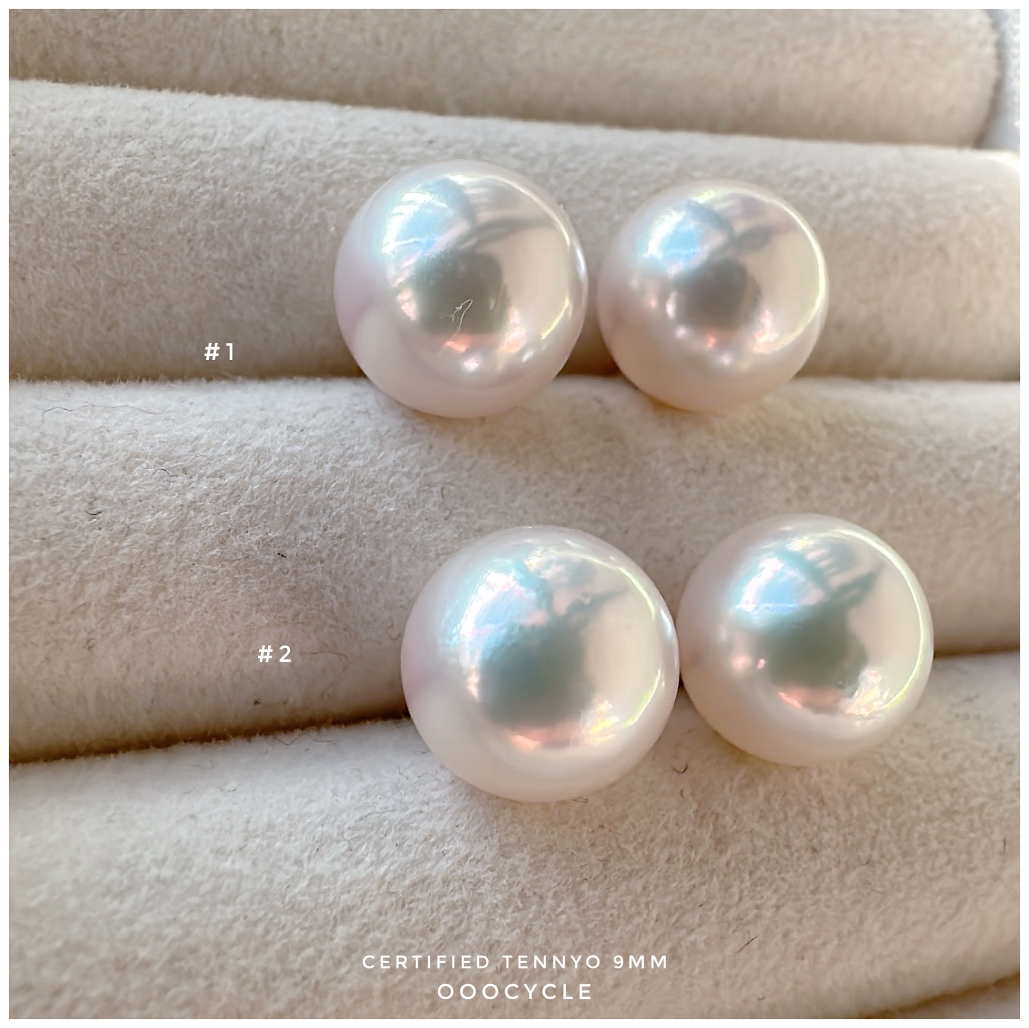 天女證書耳釘 Certified Tennyo Studs 9mm