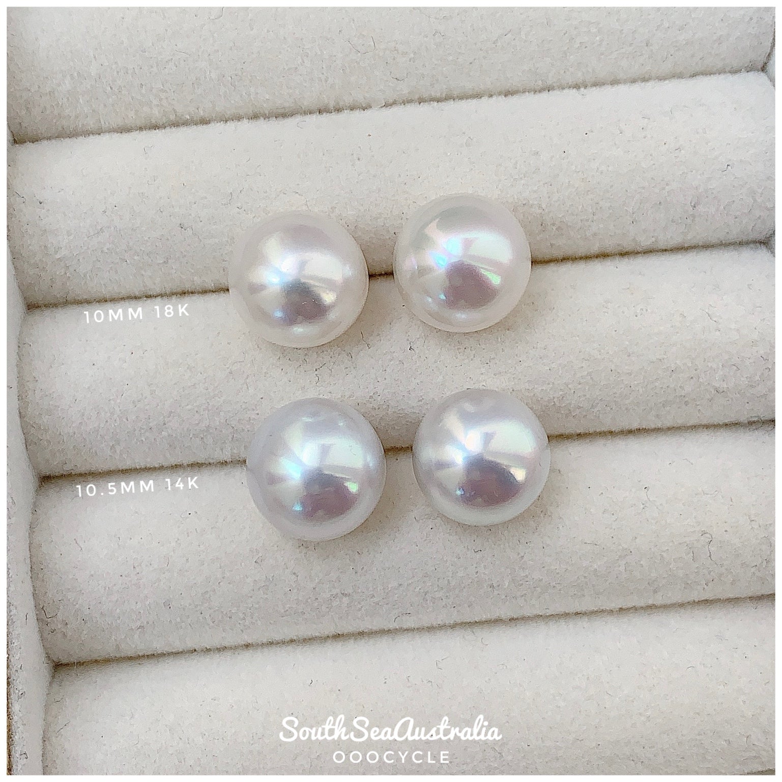 S o u t h S e a A u s t r a l i a S t u d s 澳白南洋珍珠 10mm