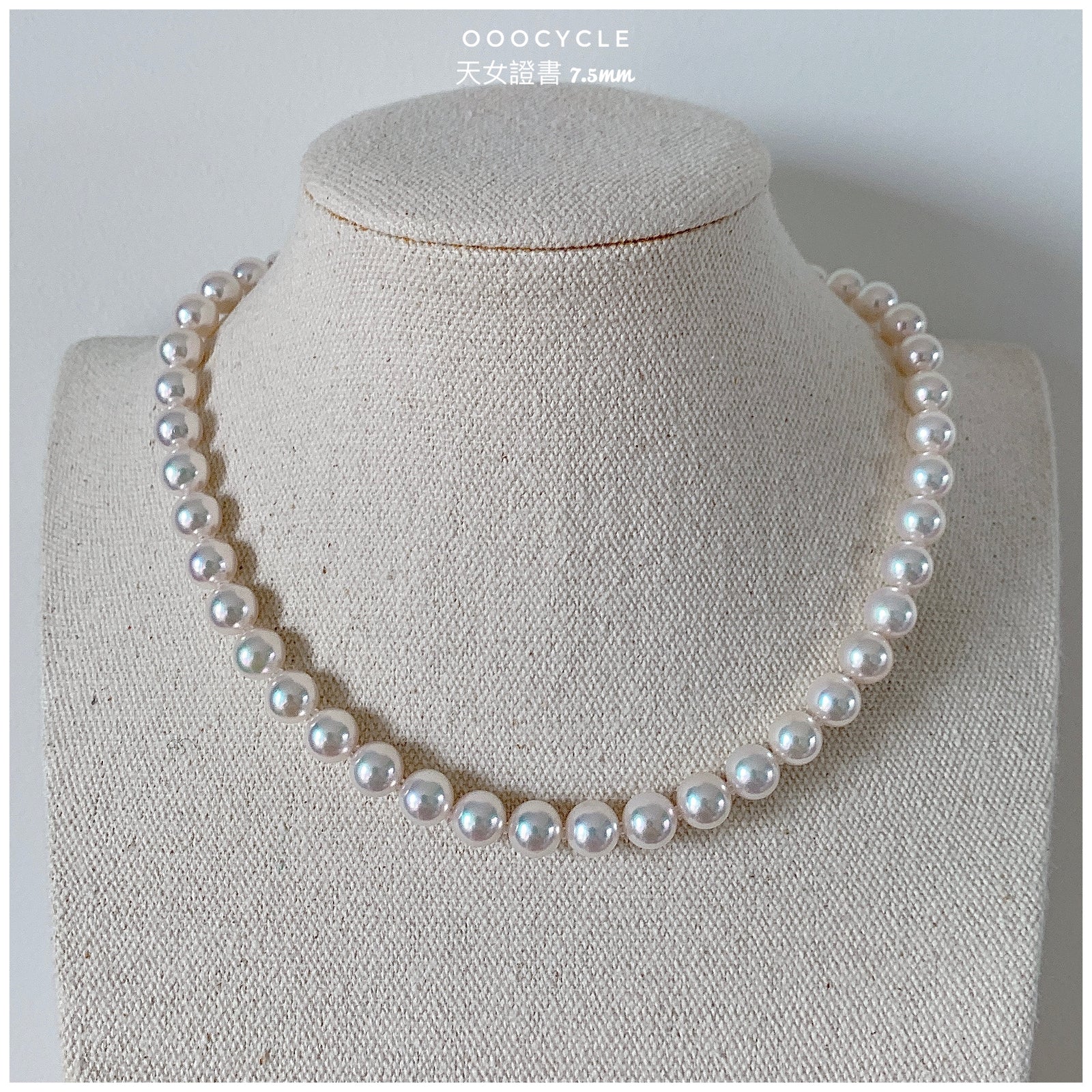 日 本 天 女 證 書 珠 鏈 Tennyo Strand 7.5mm (四葉草金扣 Clover Clasp)