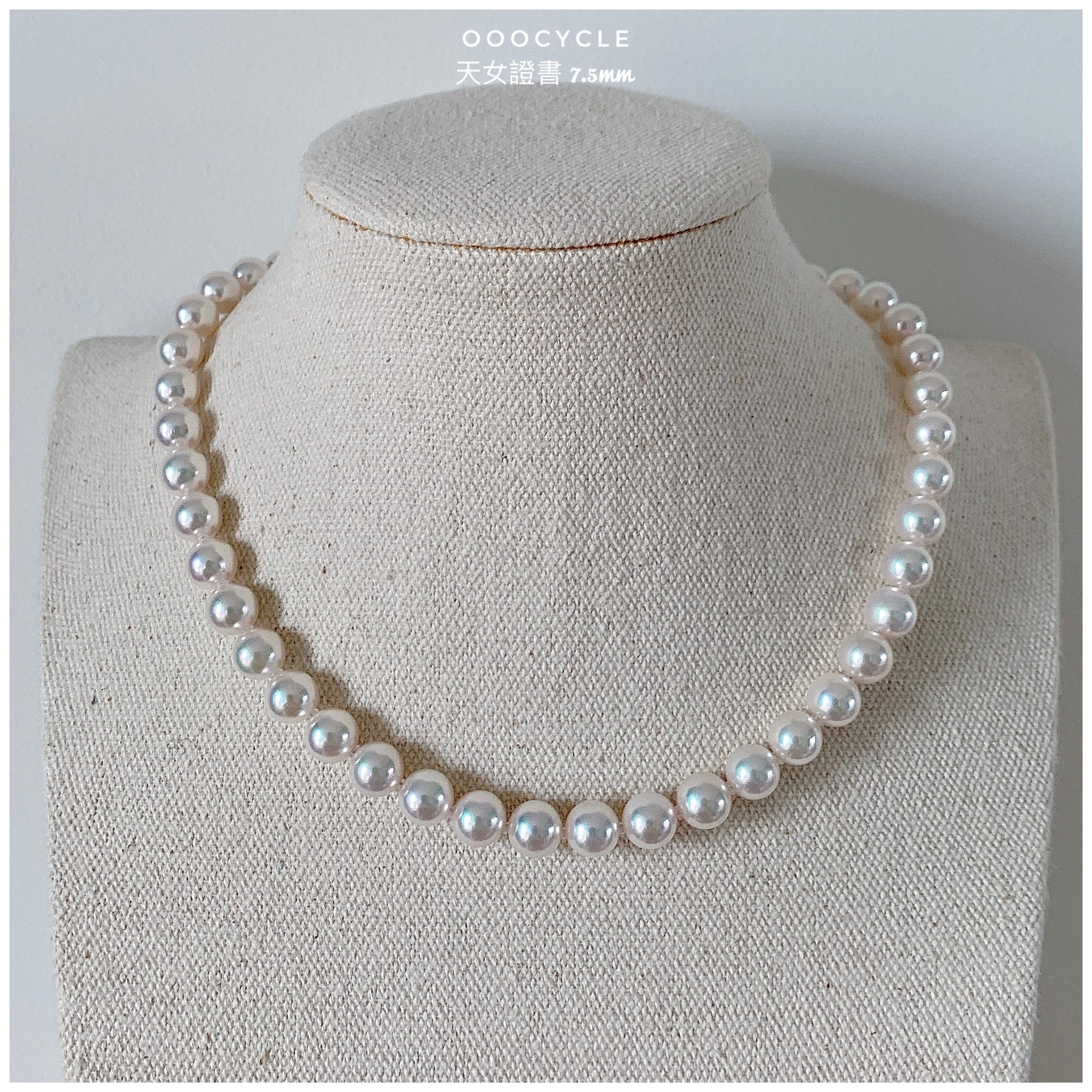 日 本 天 女 證 書 珠 鏈 Tennyo Strand 7.5mm (四葉草金扣 Clover Clasp)